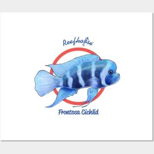 Frontosa Cichlid2 Posters and Art